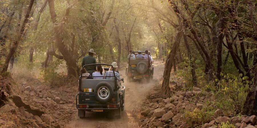 Corbett Jeep Safari